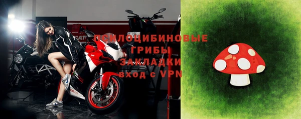 ECSTASY Алзамай