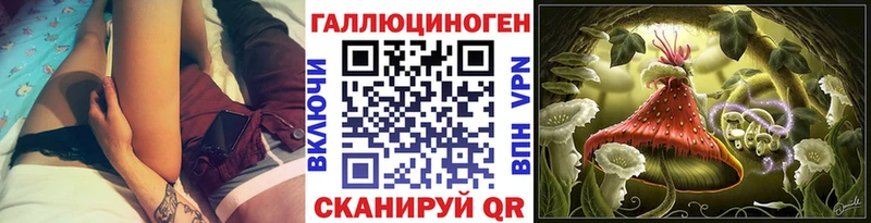 магазин    Валдай  Псилоцибиновые грибы Psilocybine cubensis 